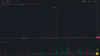 币安币突然面临安全漏洞，亏损多达16.29万美元的简单介绍
